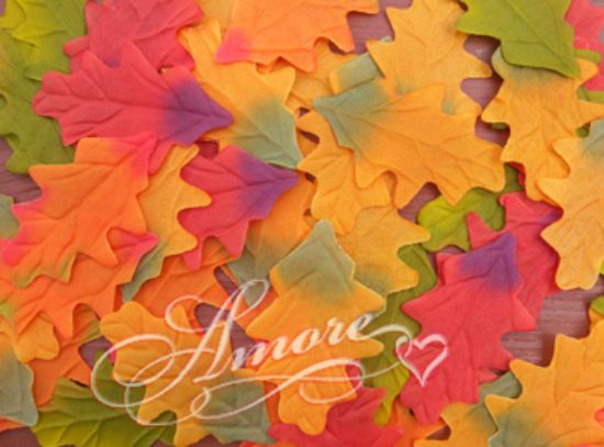 Picture of Silk Oak Fall Leaves