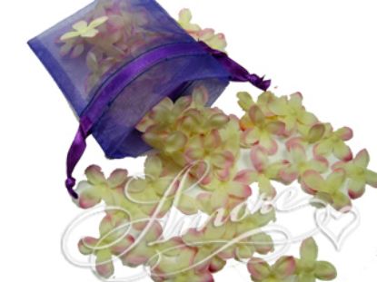 Picture of Silk Hydrangea Petals