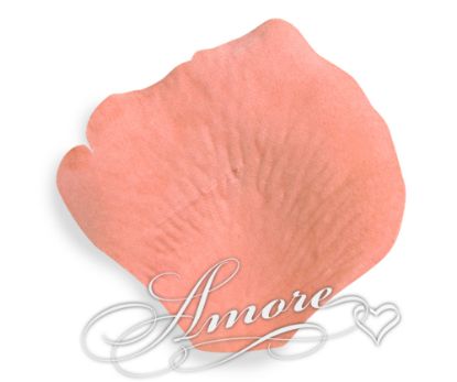 Picture of Silk Rose Petals Apricot (Light Terracotta)