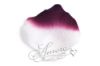 Picture of Silk Rose Petals Luxor (Eggplant and White)