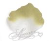 Picture of Silk Rose Petals Sage and White