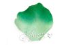 Picture of Silk Rose Petals Variegated Green Clover-2 Tones